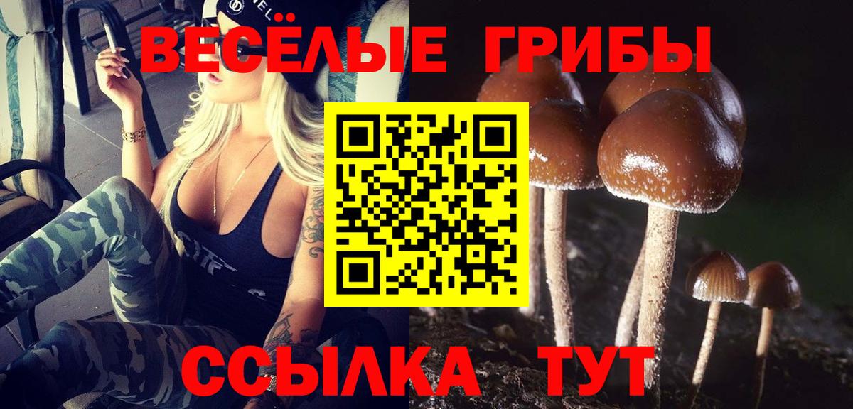 Сланцы  Галлюциногенные грибы прущие грибы  Вход с VPN  Псилоцибиновые грибы ЛСД 