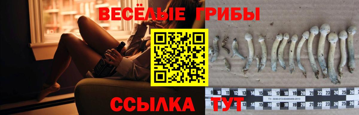 Галлюциногенные грибы MAGIC MUSHROOMS Сланцы